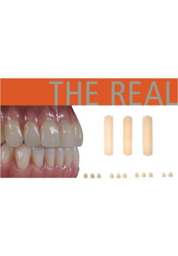 The ReAL cOMPOSITE.png