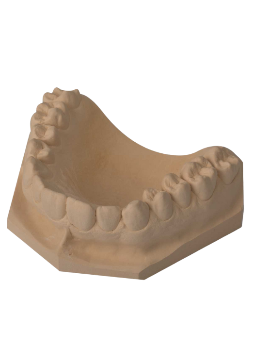 Speedy sahara 20 kg (carton).png